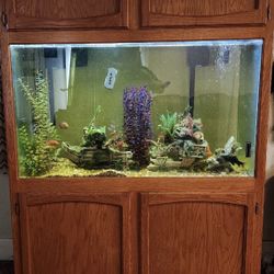 100 Gallon Fish Tank 