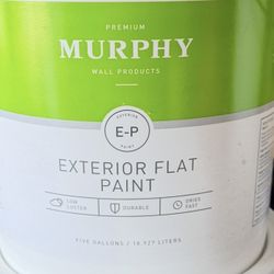 Exterior Flat Paint 