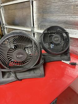 fan