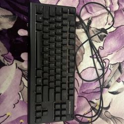 Steel Series Keyboard and Logitech mouse