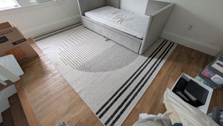 Modern cream and black area rug carpet