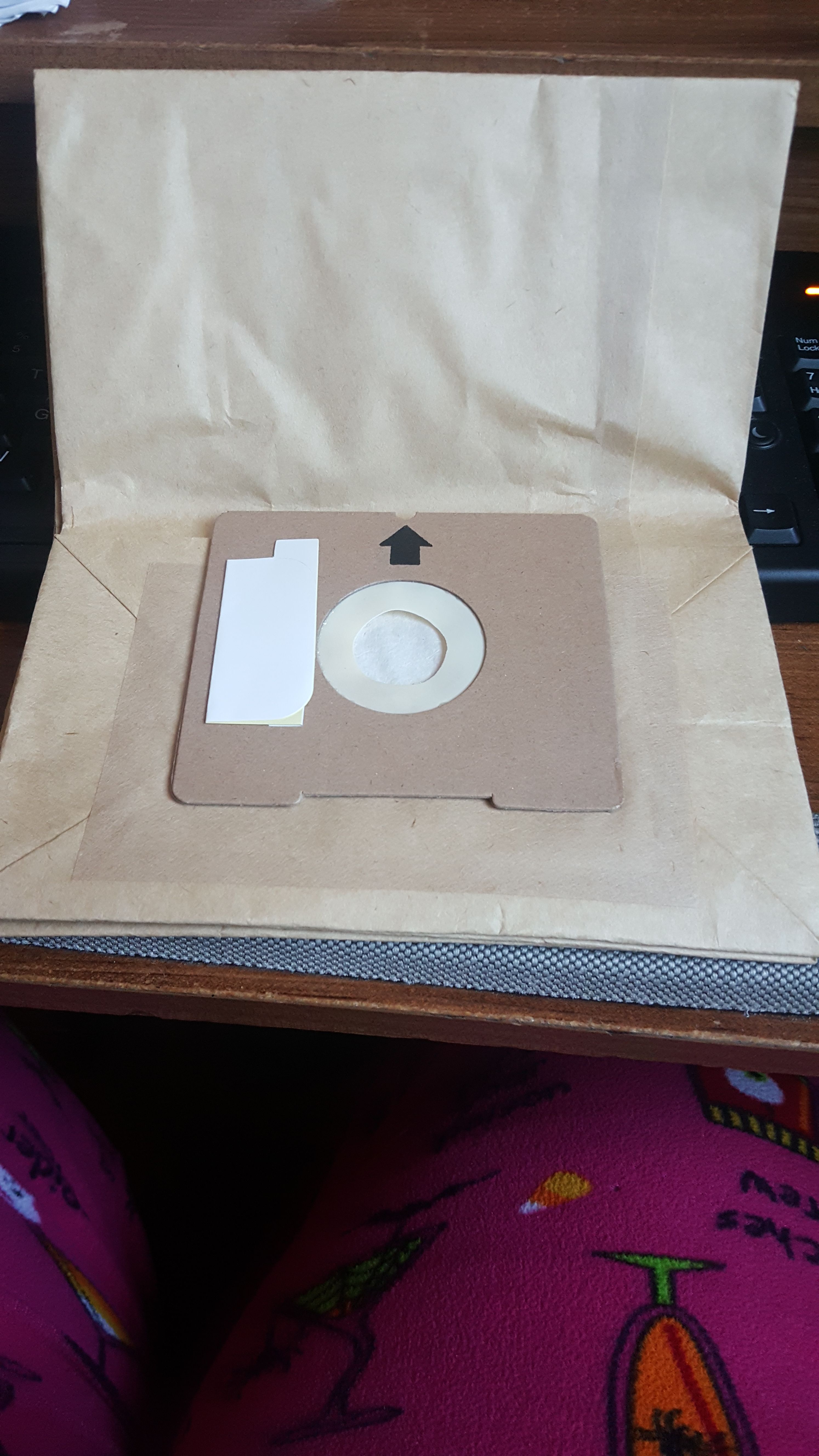 Bissell Dust Bag