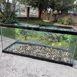 75 Gallon Tank