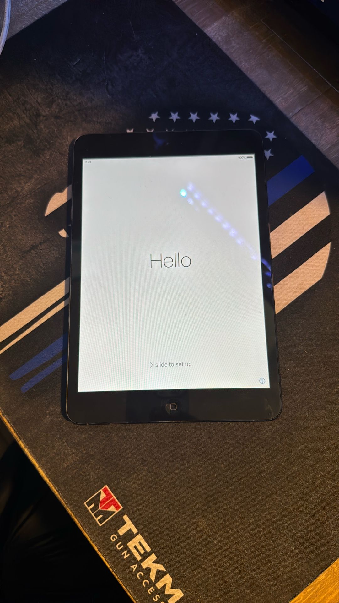 iPad Mini