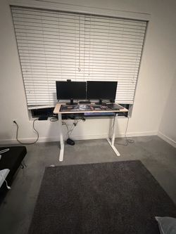 Acer monitors