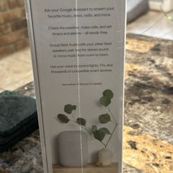 Google Nest Audio