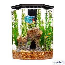 Imagitarium Plastic Hexagon Betta Aquarium – 2.5 Gallons