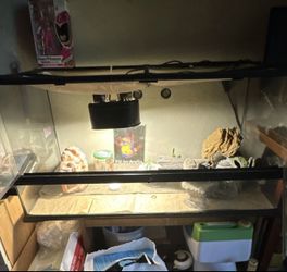 EXO TERRA TERRARIUM