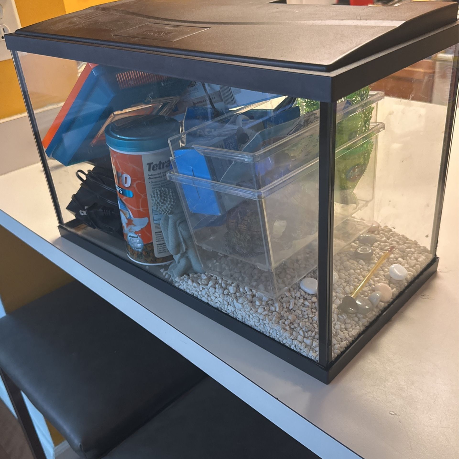 10 Gal Fish Tank 