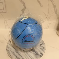 Blue Tetherball $15 Each New