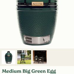 Brand New Medium Green Egg