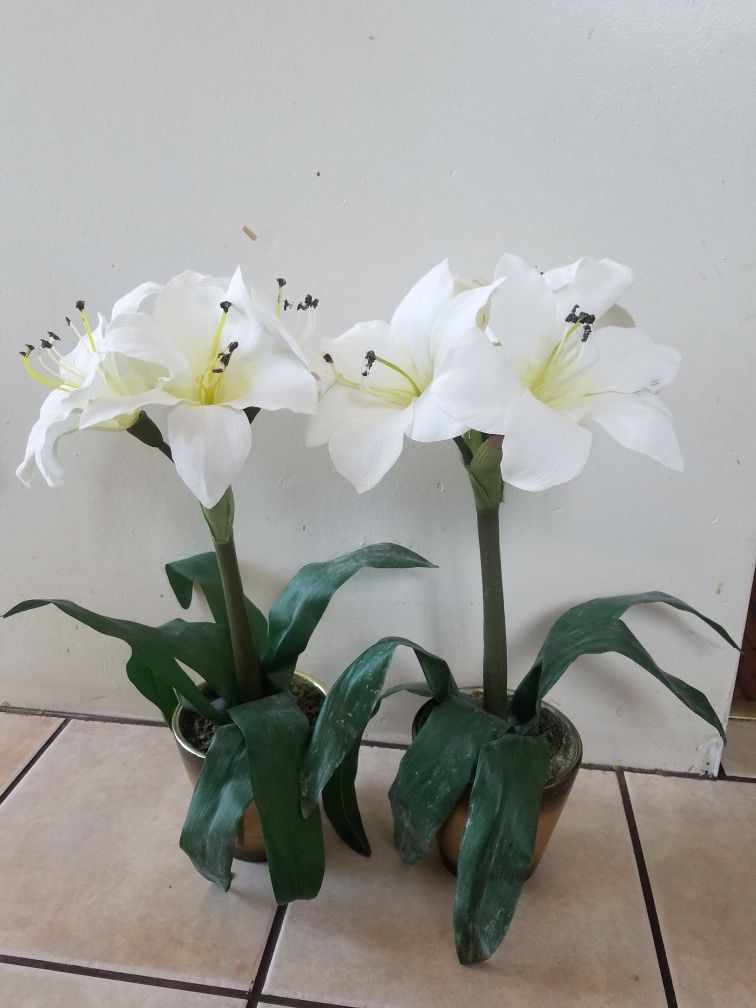 Plastics flower's set $15