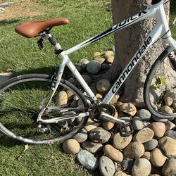 Cannondal Mountain Bike