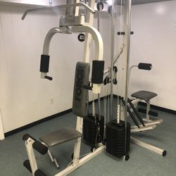Weslo A Division Of Weider Quadra Force Home Gym for Sale in Orchard Park NY OfferUp
