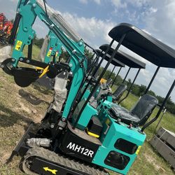 Mini-excavator (1)