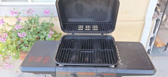 Barbecue Propane Grill