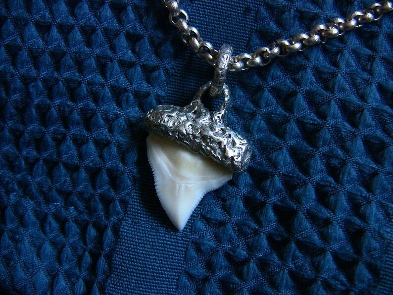 Bull Shark Tooth Pendant Necklace Charm, fine silver .999 purity, handmade USA