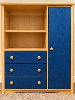 Blue & Natural Wood Storage Cabinet