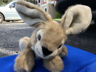 Bunny Plush