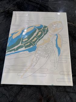 Paint by Numbers Sea Turtle - FREE