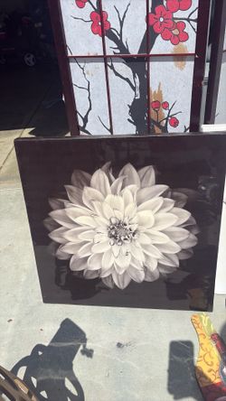 Picture frames Picture frames