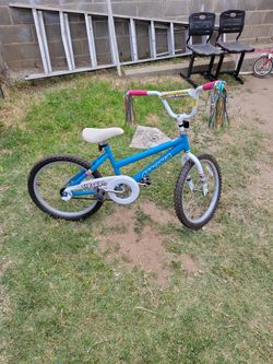 Magna Bike