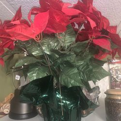 Christmas Stuff And Some Other Random Items, Please take All The Stuff 