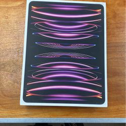 iPad Pro 256 Go 12.9in 6th Gen Wi-Fi Cellular 