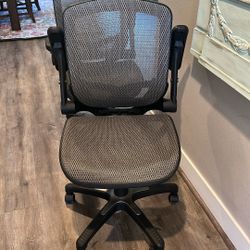 2 Costco Ergonomic Office Chairs