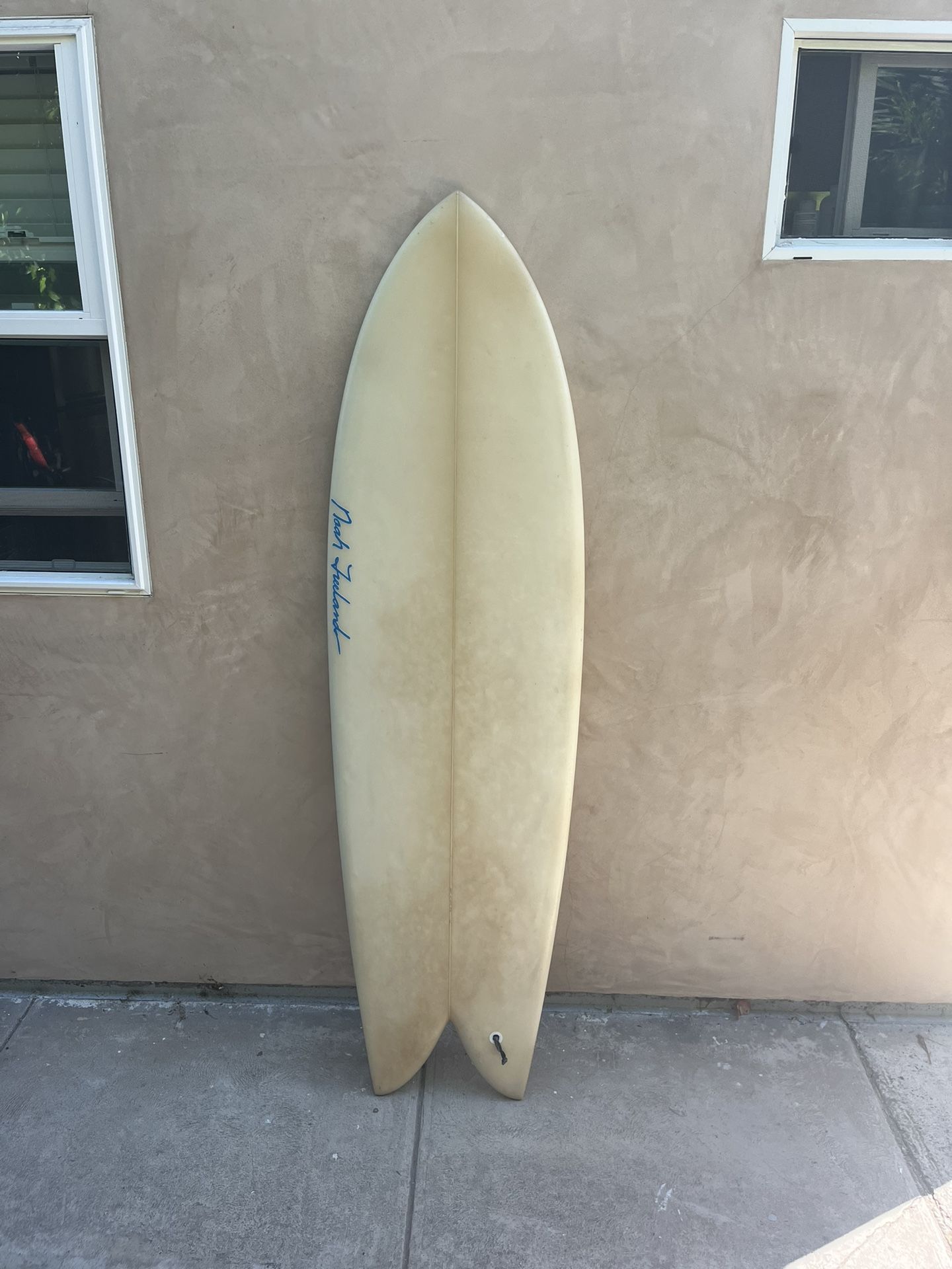 Fish Surfboard