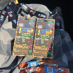 2 VIP Warped Tour Orlando