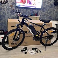 Electric Bike 