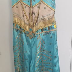 Jasmin Costume