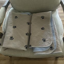 Dog Mats