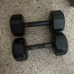 10 Pound Dumbells