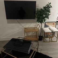 TV, bar Stand, Living Table , Flower Plant 