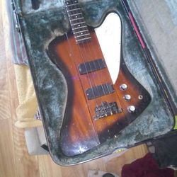 Epi Thunderbird 