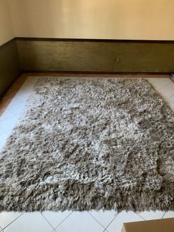 Big Area rug