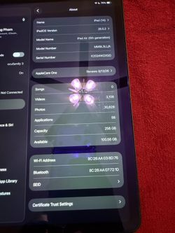 Ipad air 5 256gb ( space gray color)
