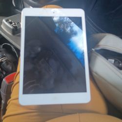 Apple Ipad