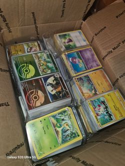 POKEMON BULK