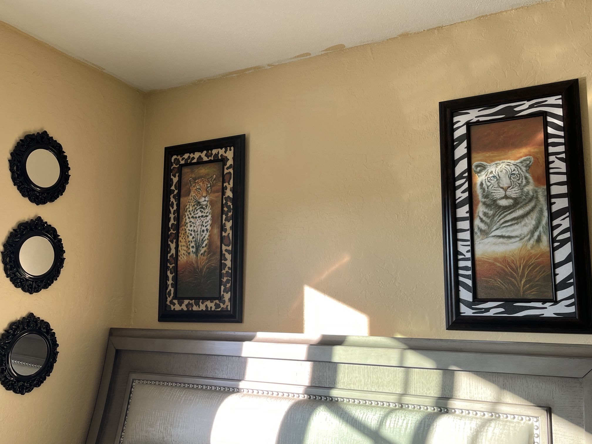 Framed Photo For Decorate