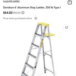 6ft Ladder