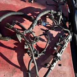 Wiring Harness 