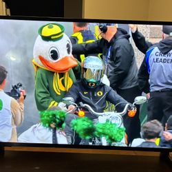 50”TV Insignia NS-50F301NA22