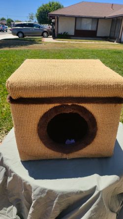 Cat Condo