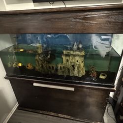 60 Gallon Fish Tank $200 Obo