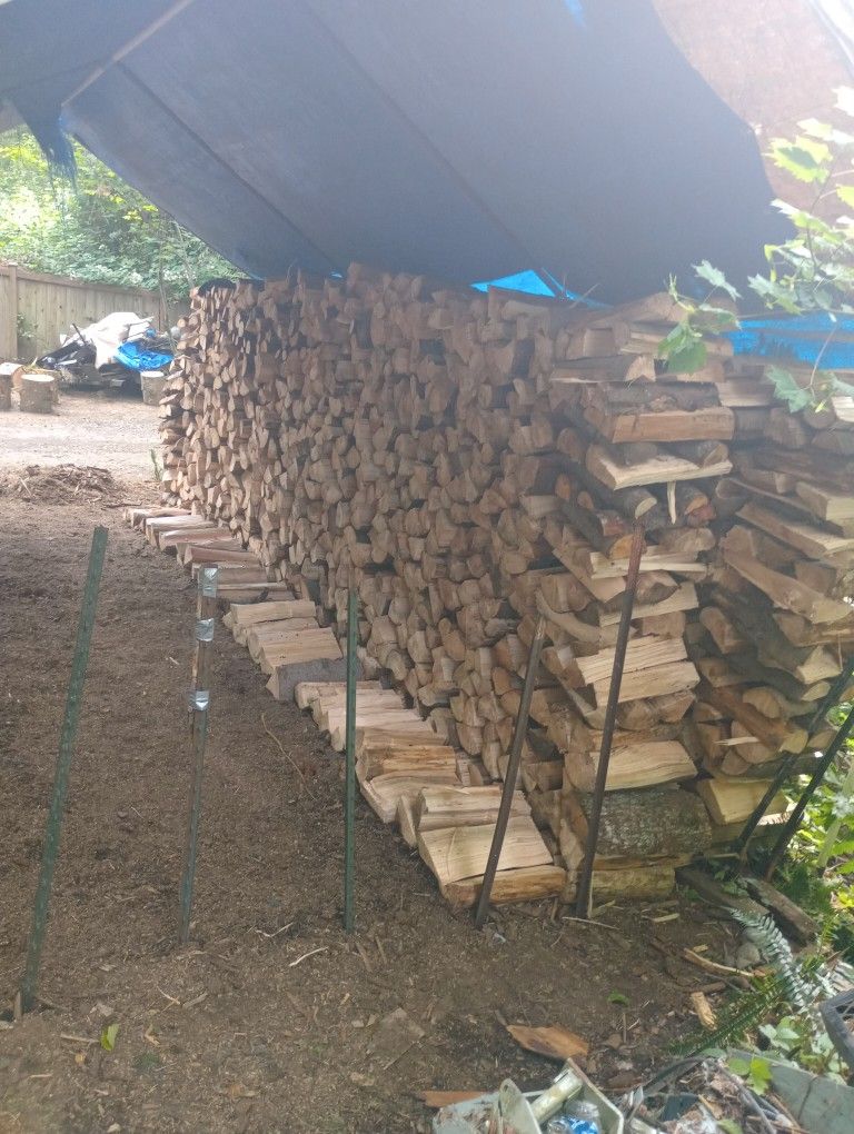 Fire. Wood