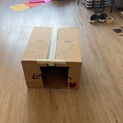 Cardboard Cat House 