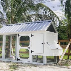 4’x10’ Urban Chicken Coop!